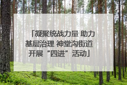 凝聚统战力量 助力基层治理 神堂沟街道开展“四进”活动